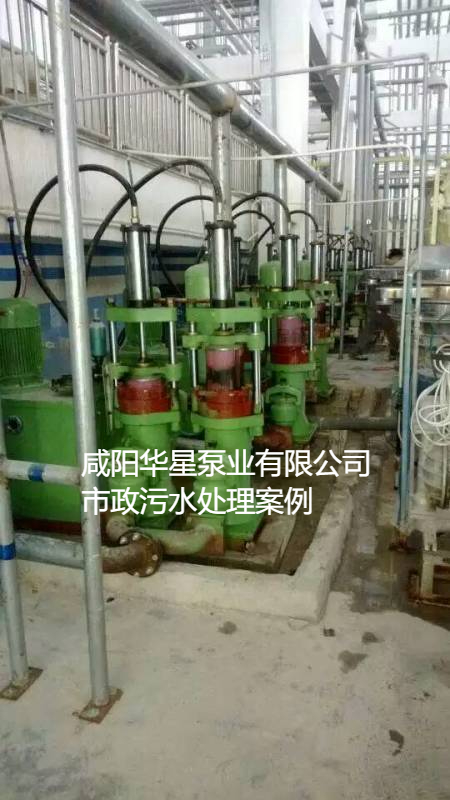 污水處理廠使用YBH200柱塞泥漿泵現場