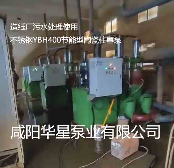 造紙廠使用YBH400不銹鋼柱塞泥漿泵案例